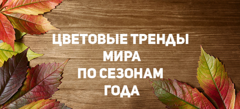 Цветовые тренды мира по сезонам года