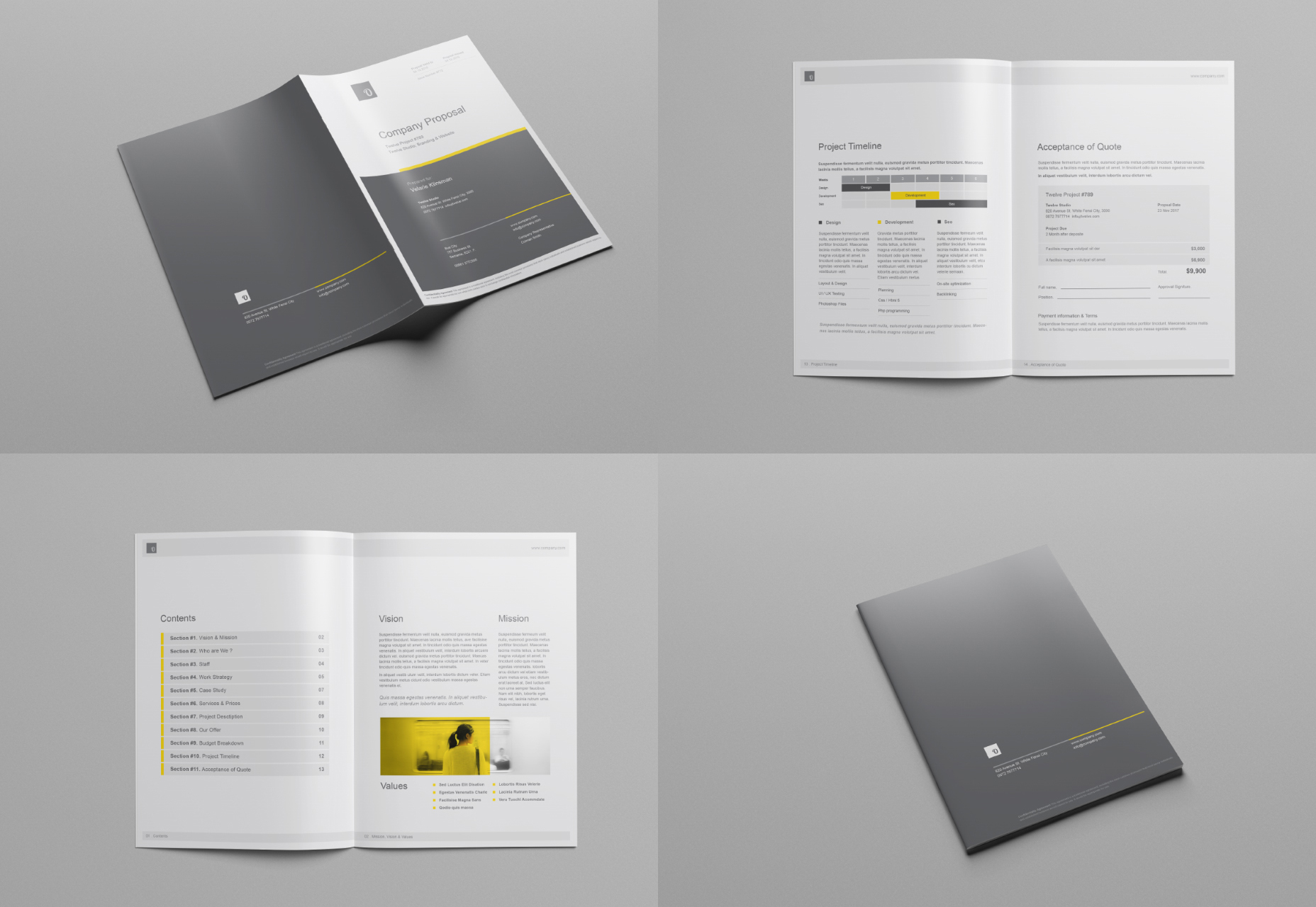 company-proposal-brochure-mockups-set