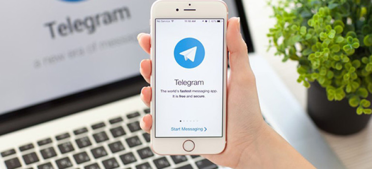 7 полезных ботов Telegram для творческих