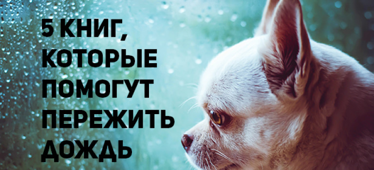 Время плакать! 5 книг для чтения, если всегда идет дождь