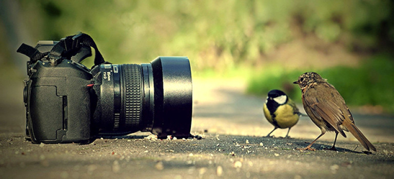 Обзор: какой фотоаппарат выбрать?
