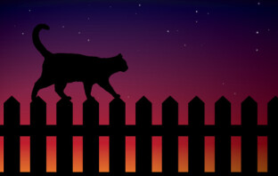 Урок по созданию композиции с “ночным котом” в Adobe Illustrator