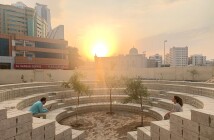 В ОАЭ разбили сад без единой капли воды – здесь растут пустынные растения