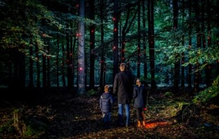 Голландские художники установили «цифровой организм» в лесу