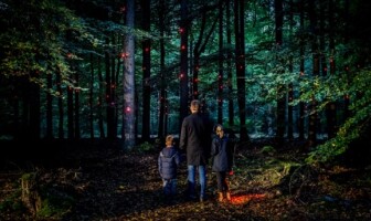 Голландские художники установили «цифровой организм» в лесу
