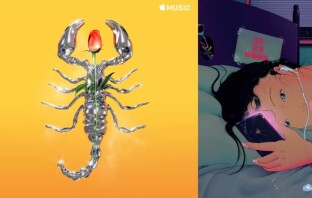 Культовые художники + Apple = новые обложки для Apple Music