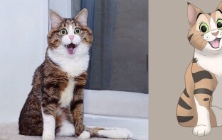 Художница превращает фото животных в персонажей Disney