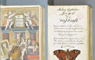 Времена до Pantone: как выглядел каталог цветов в XVII веке
