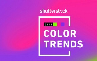 Shutterstock показал трендовые цвета 2019 года