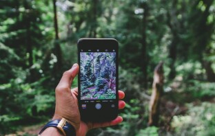 10 простых и полезных приложений для фотографов на iOS