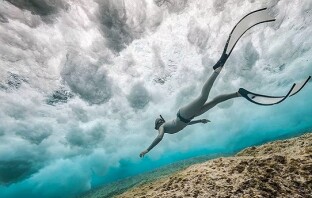 Лучшие фотографии подводного мира в 2017 году