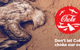 Greenpeace vs Coca-Cola: организация вновь сражается за чистоту океана