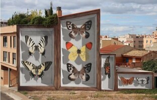 Необычный стрит-арт: художник рисует 3D-бабочек на стенах домов