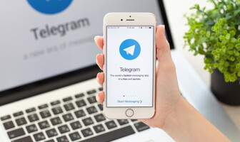 7 полезных ботов Telegram для творческих