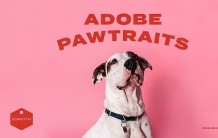 Adobe представила фотопроект, который поможет животным из приюта найти новый дом