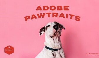 Adobe представила фотопроект, который поможет животным из приюта найти новый дом