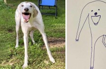 Девушка просто пыталась нарисовать свою собаку, но получились вирусные шедевры