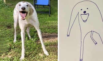 Девушка просто пыталась нарисовать свою собаку, но получились вирусные шедевры