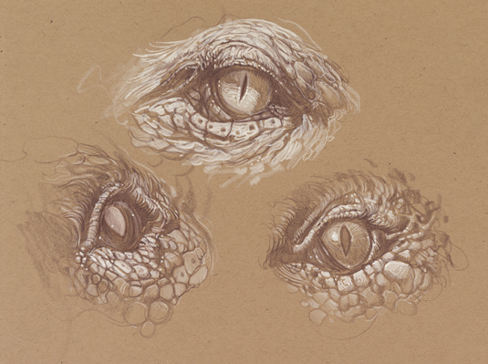dragon-eyes