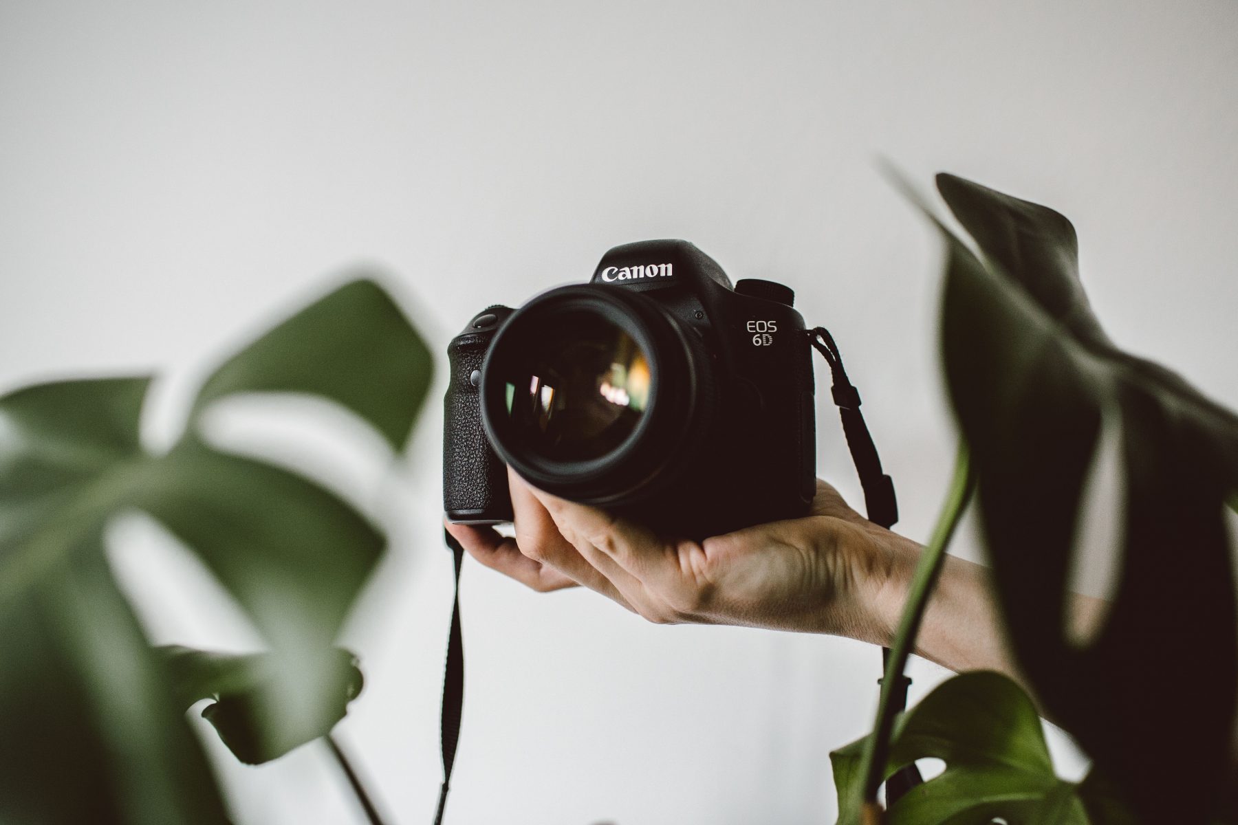 Как Снимать Фото На Фотоаппарат